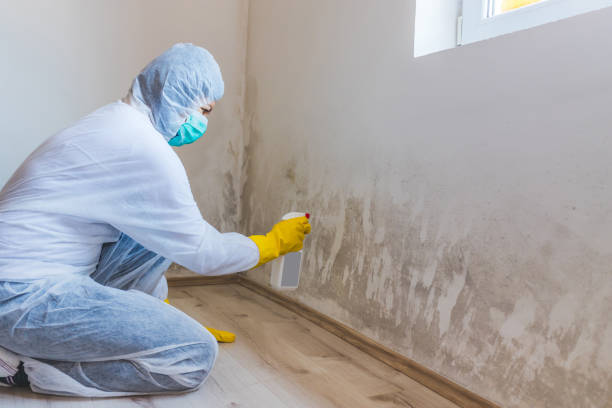 Forensic Mold Investigation in Savannah, TX